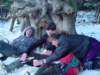 Photo Number 6