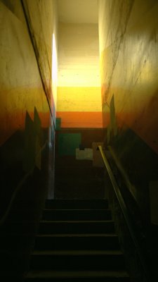 dsc_6706